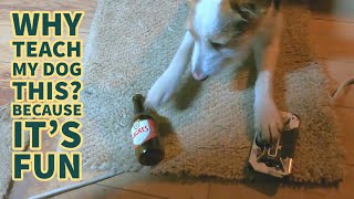 Teaching my dog useless words- funny video🤣