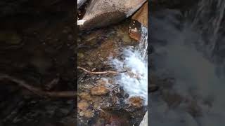 Chasm Falls. RMNP