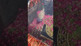 Mira datar dargah Urs stetus|whatsapp qawwali status|2024new qawwali|Famous qawwali|mira data