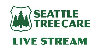 Seattle Tree Care is going live! Last pick behind the camera