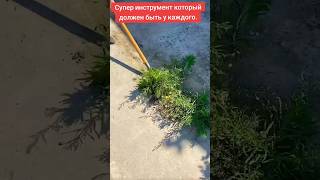 Быстрая уборка травы: инструмент, который должен быть у всех #diy #gardenflower #сад #дача #зробисам