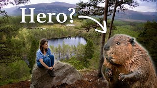 This is why we should let beavers take over