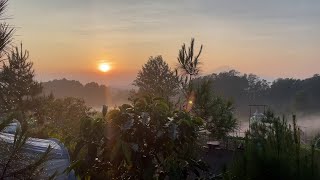 MAKAN NASI LIWET DI ASEP STROBERI DAN SARAPAN PAGI DI ASSTRO HIGLANDS SUBANG