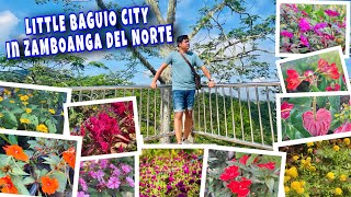 ALVENDA PEAK | LITTLE BAGUIO CITY IN ZAMBOANGA DEL NORTE | TRIP TO ZAMBOANGA DEL NORTE - PART 1