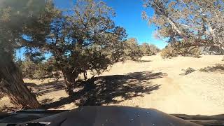 Top speed rzr turbo s at the dunes