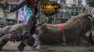 EL TORO CAYÓ ENCIMA DEL JINETE| LA GENTE QUEDÓ IMPRESIONADA CON LOS TOROS| LA FLORIDA CARDONAL HGO