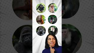 GETTING TO KNOW OUR EXTENDED FAMILY🙊🦧🐒🦍 #easyenglishwithvini #spokenenglishmalayalam