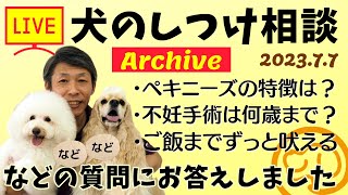 犬のしつけ相談ライブ☆ゲリラライブ 【アーカイブ 2023/07/07】