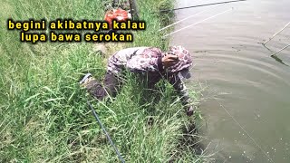 bikin puyeng kepala - nila babon ketapang berulah kembali mancing pakai lumut