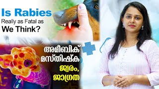 Kerala health department has issued guidelines to prevent amoebic meningoencephalitis.