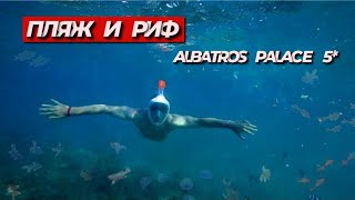 ЕГИПЕТ2021// ОБЗОР ПЛЯЖА И РИФА В ОТЕЛЕ ALBATROS PALACE 5* // часть3