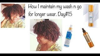 Wash n Go Update| Day #18| How I Preserve My Curls|