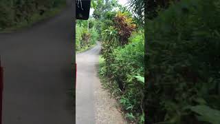 Tuk Tuk Sri Lanka,how to drive tuk tuk ? extremely high hill climbing by threveel. #travel ,#shorts