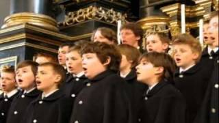 Wilten Boys' Choir ▶▶▶ Haydn - Die Schopfung / The Creation