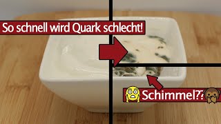 Haltbarkeit von Quark im Zeitraffer - 30 Tage - Time Lapse