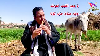 يا وجع القلوب الحزينة / عزف منفرد صابر كولة /  #يوتيوب/ #YouTube  #موسيقي  #الكولة /  #shortsfeed