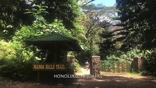 Manoa Falls Trail