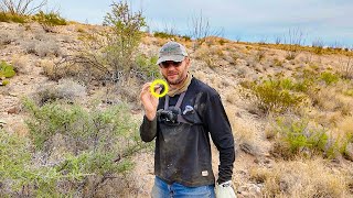 A Desert Forest Starts With These Seeds