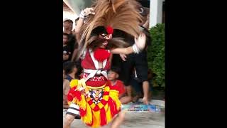 GANONG CILIK JAGO BANGET SALTO #shortvideo #shortsvideo #shorts #videoshort