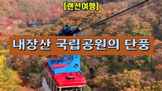 [랜선여행] 단풍 명소 내장산 국립공원의 단풍 🍁🍂