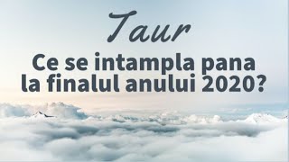 Tarot-Taur-Lasati in urma pe cineva,candva drag si veti avea parte de un nou inceput plin de iubire.