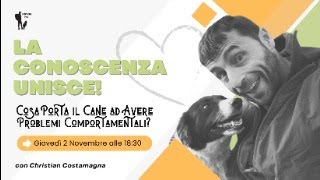 Perché i cani hanno problemi comportamentali?