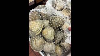 Hamaguri clams - The Culinary Institute of America New York Campus Vlog