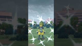 Shiny Lucario Pokemon GO