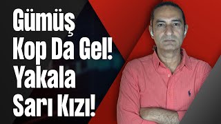 Gümüş Kop Da Gel! Yakala Sarı Kızı!