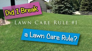 Summer Lawn Care and Did I Break a Lawn Care Rule?