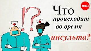 Что происходит во время инсульта? - Vaibhav Goswami (TED-Ed на русском)