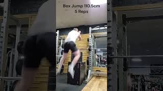 Week 4: Box Jump 117.6cm 1 Rep - 110.5cm 5 Reps