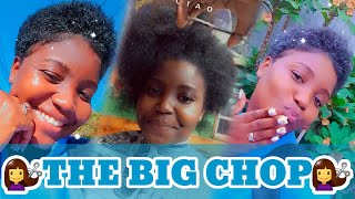 BIG CHOP ON NATURAL 4C HAIR|FRESH JOURNEY