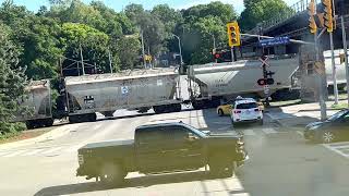 Guelph Central GO Macdonell Level Crossing