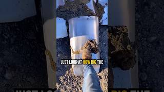 #bigmachine #excavator #heavyequipment #dragline #shorts #short #shortvideo