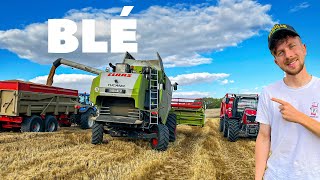 MOISSON DES BLÉS 2023 et PAILLE avec le MASSEY 6S !