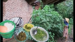 Hujan Gerimis Di Pagi Hari, Memasak Daun Singkong Dan Sambal Ijo Pedas