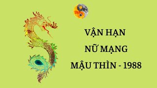 Nữ Mậu Thìn 1988 - Tử Vi & Vận Hạn 6 Tháng Đầu Năm Nhâm Dần 2022