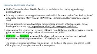 Economic Importance of Algae #plant Kingdom class 11 botany @StudyAdda365