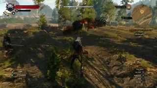 Witcher 3: Wild Hunt - Griffin Battle