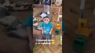 Страшнее волка и не найдешь 😏. ХаХаски | Юмор #юмор #прикол