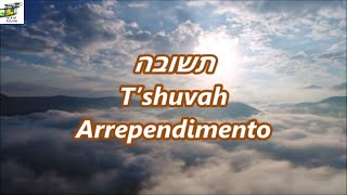 T’shuvah - Arrependimento - Yaakov Shwekey