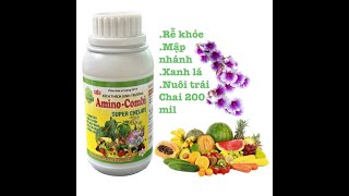 Phân Bón Kích Thích Mập Thân Nuôi Trái Chelate Amino Combi Humic.Chai 200ml 0967 863 963