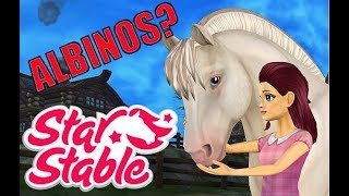 Star Stable 👀NOWOŚCI WŚRÓD FIORDÓW