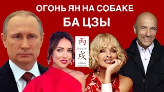 БАЦЗЫ | 23 столп Огненная Собака | Огонь Ян | Собака