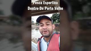 MUITO PEIXE EM PORTO VELHO