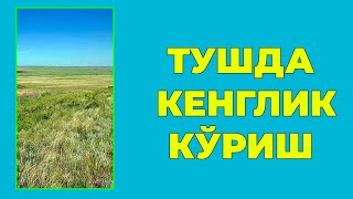 Туш табири - Тушда Кенглик куриш