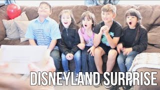 Disneyland Surprise 2017 | Vlog