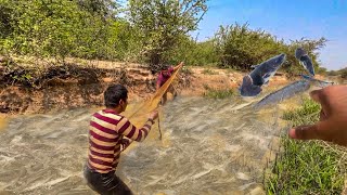 Fisherman Cast Net Fishing Real Life Amazing Fishing At Countryside.(Episode 108)