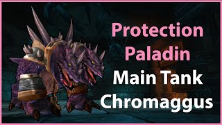 WoW Classic Prot Paladin Main Tank Chromaggus